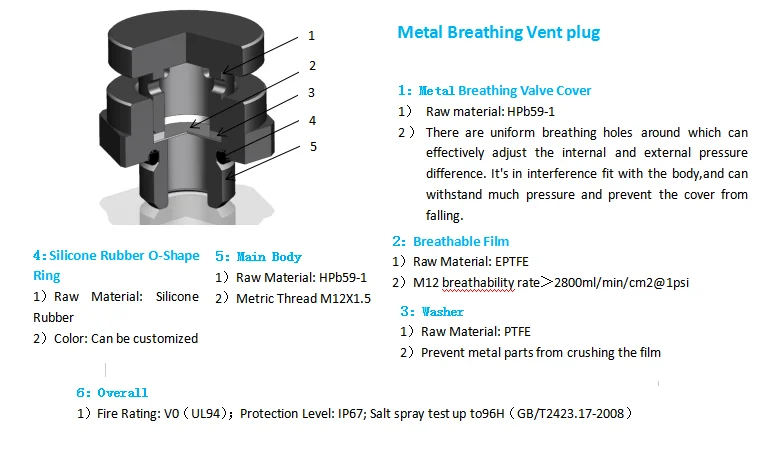 paste-pic-dp_uuid_avhy6