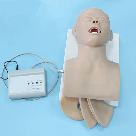 Medical Model Of Advanced Electronic Catheter Enema,Medical Training ...