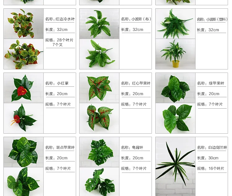 xingqing1 (2)
