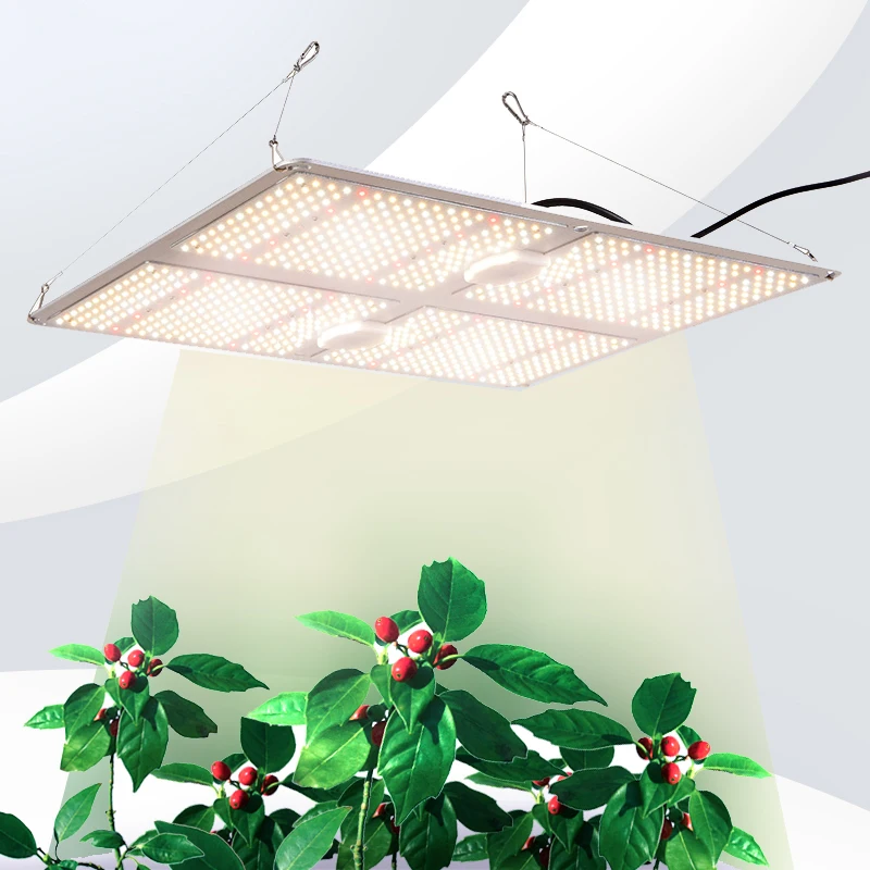 Reliable Supplier Samsung LM301B Dimmable 450W Smd Led Grow Light For DIY Hydrophobic