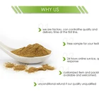 High quality manufactory price pure natural black ginger root powder gingerol 1% HPLC
