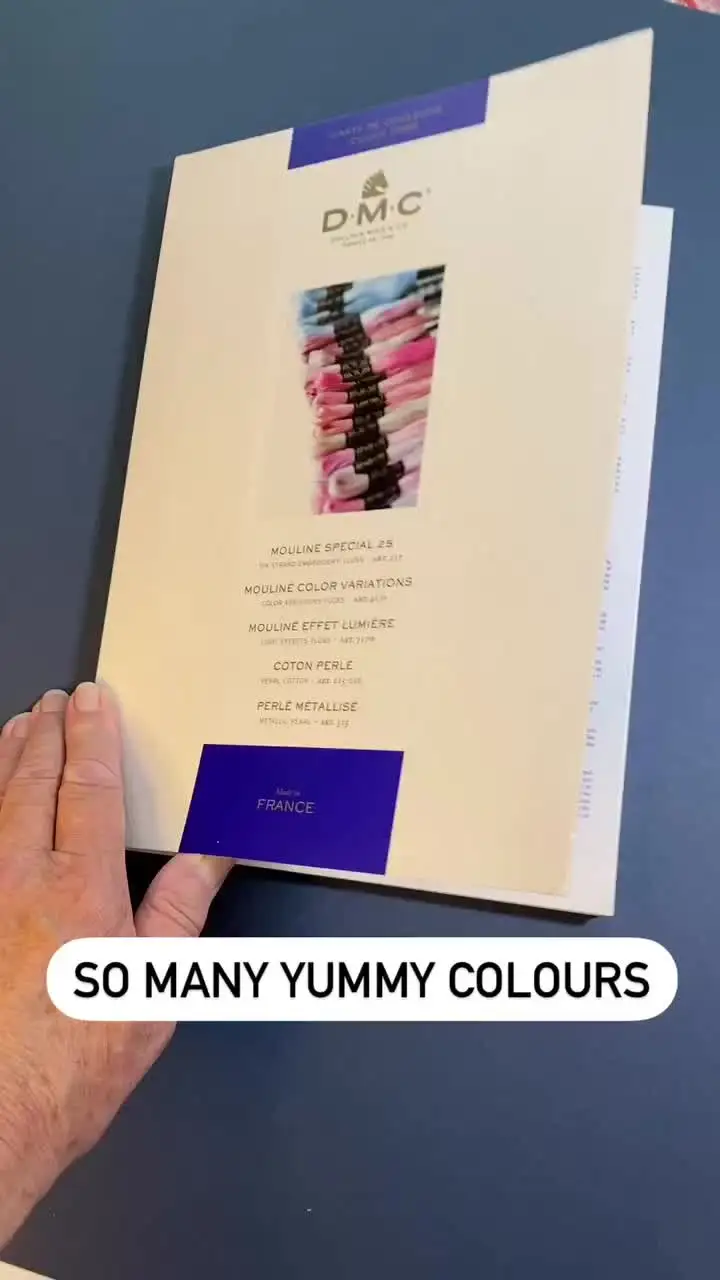 法国DMC原装真丝色卡大全DMC十字绣更新版本真丝色卡W100B