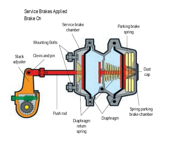 Apply brake перевод. Spring Brake Chamber. Ford d-Series Air Brakes System. Automatic Brake Rod. Brake Chamber, Rear.