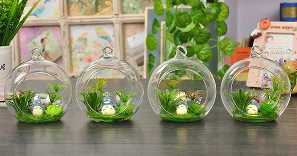 4 Pack Hanging Glass Globe Air Planter Terrarium Vase with 39 inch Sling 