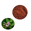 Factory Supply Dogbane Leaf Extract Apocynum Venetum Extract Powder 10 1