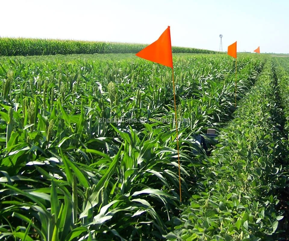 Marking Flags (2)
