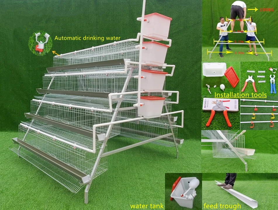 Welded Wire Mesh Egg Layer Chicken Cage Used For Hens Buy Chicken