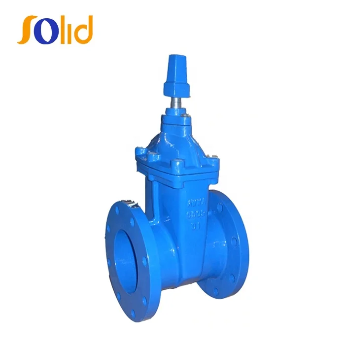 Awwa C515 C509 Non-Rising Stem Rubber Coated Gate Valve.jpg