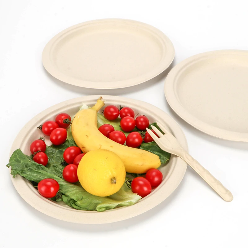 2022 Eco Rts Biodegradable Paper Pulp Mould Disposable Dinnerware Sugarcane Bagasse Plates Buy