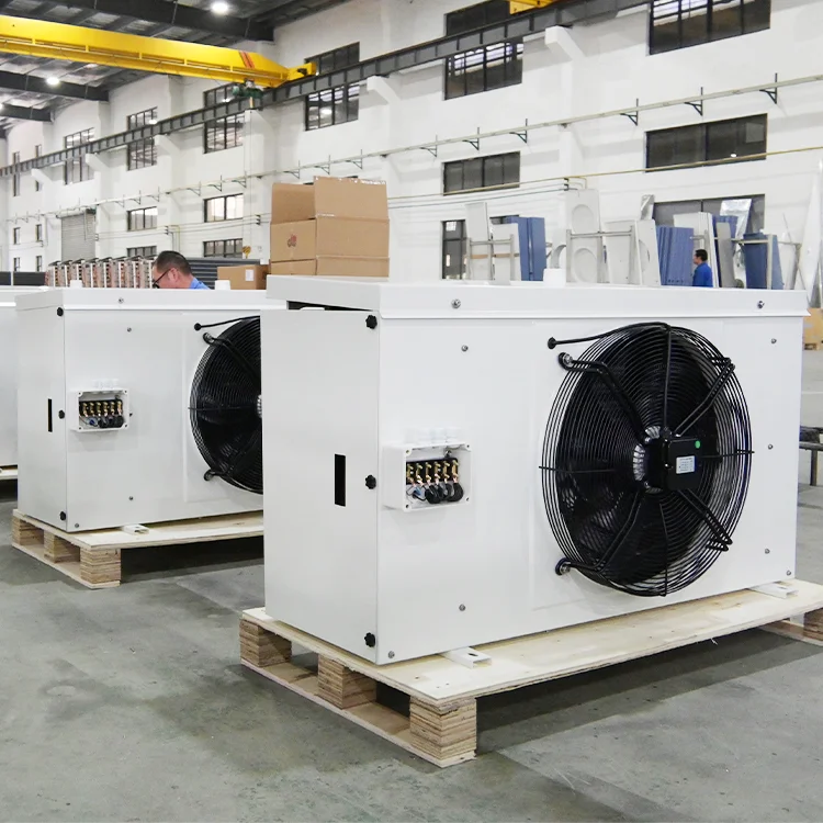 Blast Freezer, 220V - detail 14