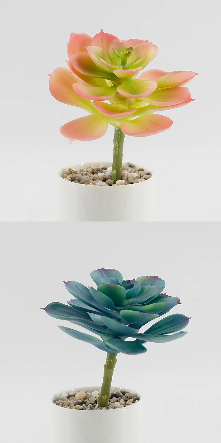 Wholesale Simulation Lifelike Real Touch Various Succulent Plants
