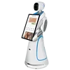 Intelligent Humanoid Information Robot for Concierge Service