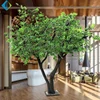 Artificial Maple Indoor Outdoor Different Types Of Maple Trees