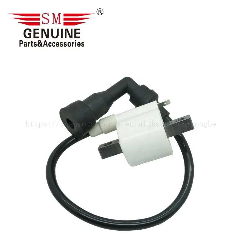 PULSAR135 JELH (3-3).jpg