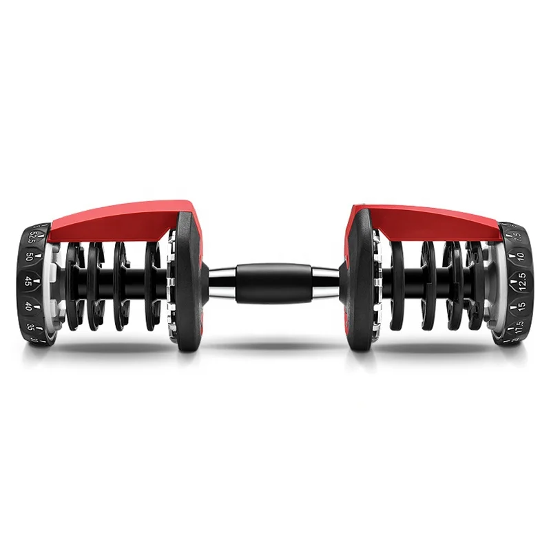 

Body Building 18 lbs Dumbbells,1 Pair