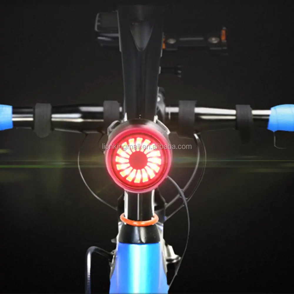 T09 bike light (9).jpg