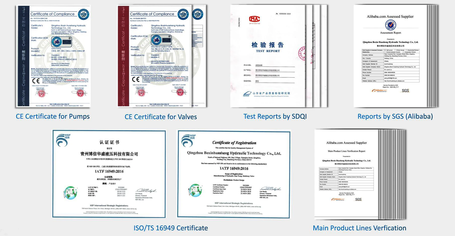Certificates.jpg