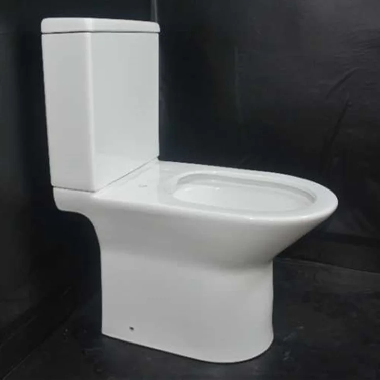 Siphon elongated two piece dual flush bathroom toilet with buffer seat cover