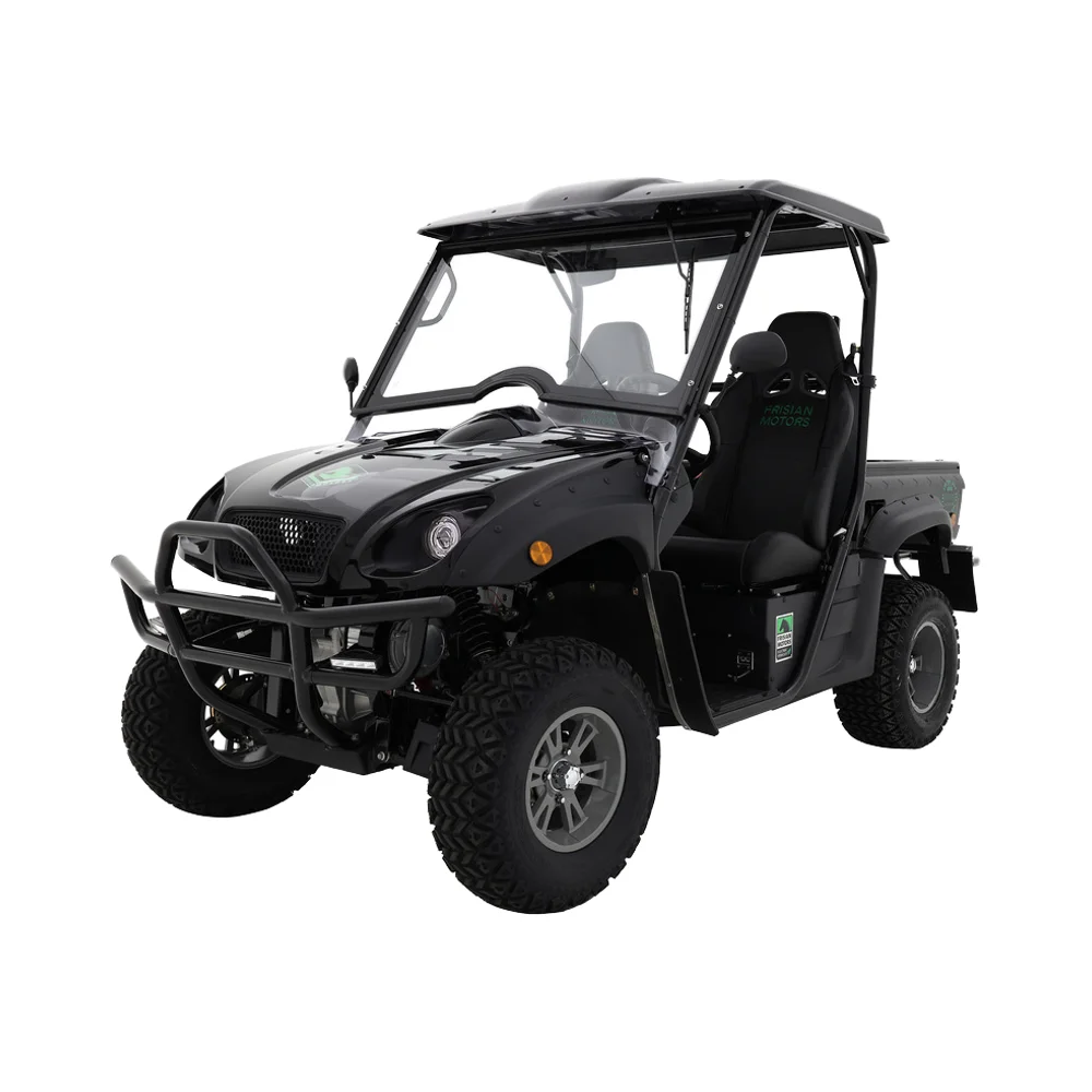 Wholesale 5 10kW Electric Dune Buggy 2 seater Farm Utility Vehicle Kids 