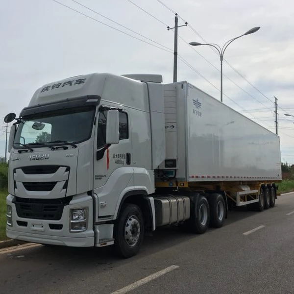 Isuzu Giga фургон реф