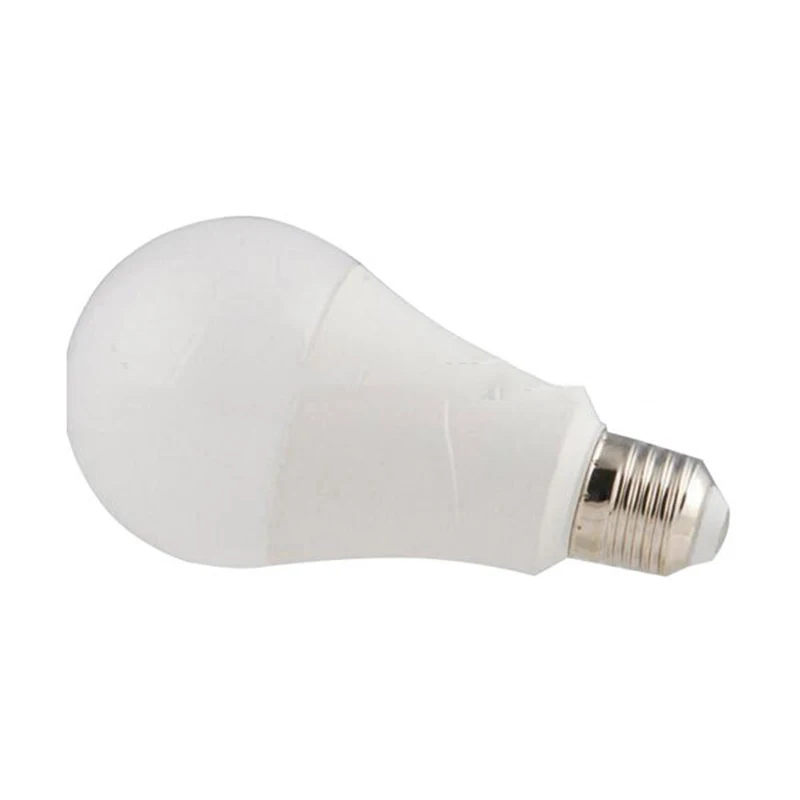 Voice controlled light with WIFI app control smart bulb