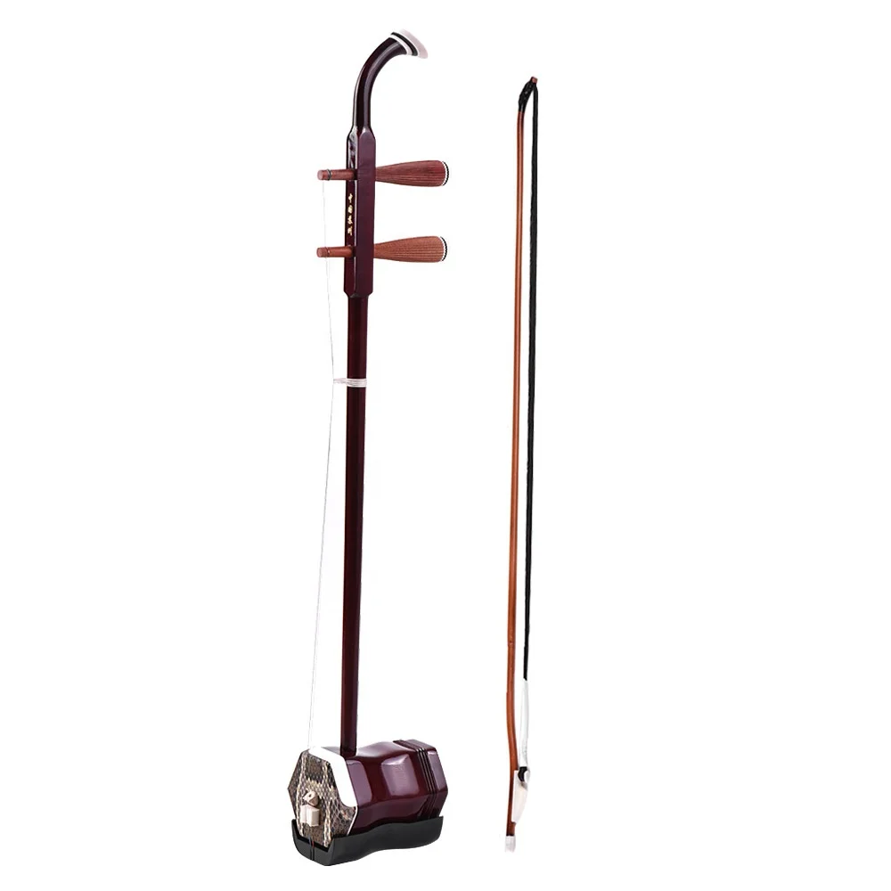 2 stringed instrument