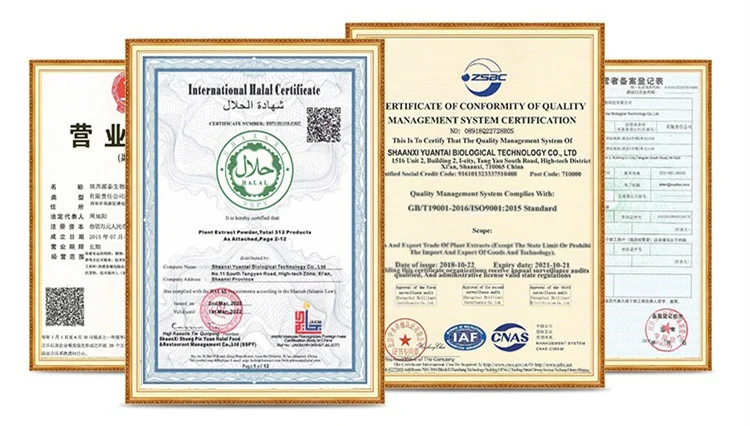 paste-pic-dp_uuid_lpdii