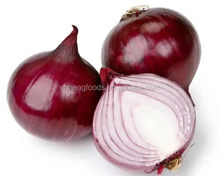 onion 7.jpg