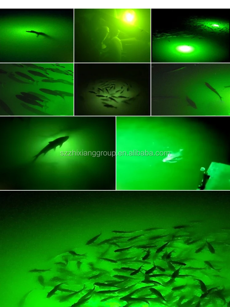 led underwater squid fishing night led