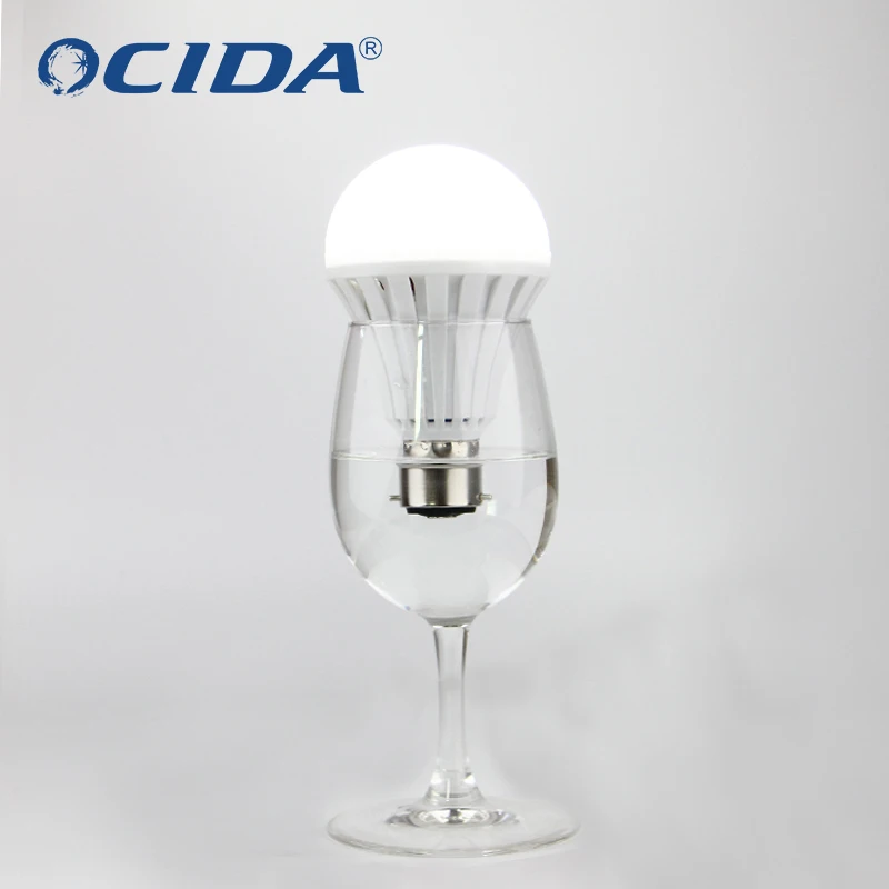 Lighting bulb rechargeable 12v dc led light bulb