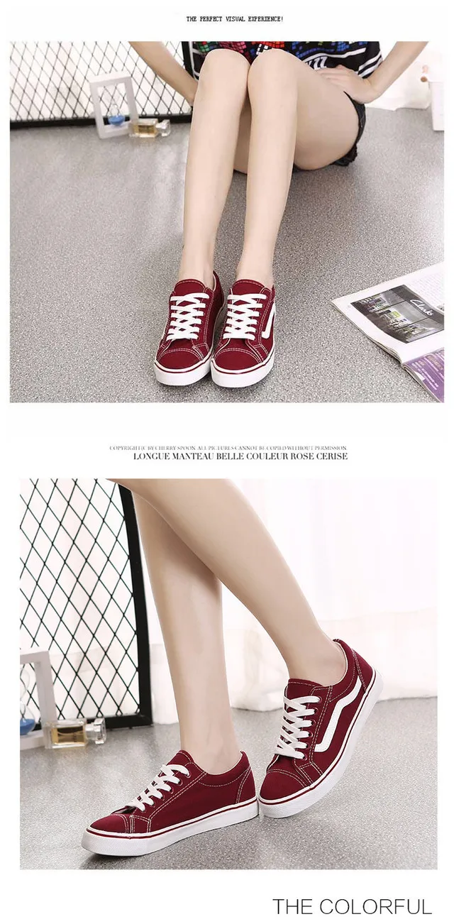 all sports canvas shoes