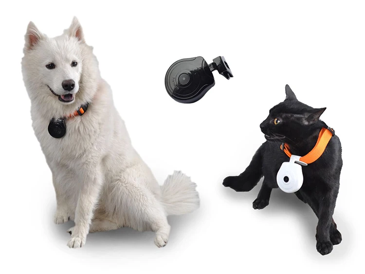 Pet camera.jpg