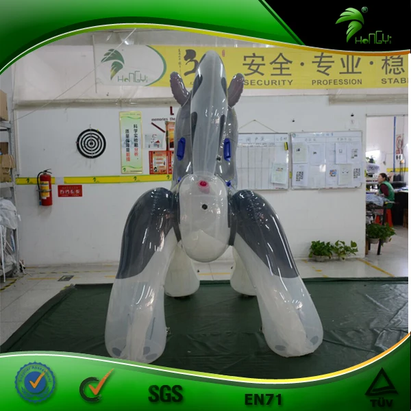 transparent  husky (5)