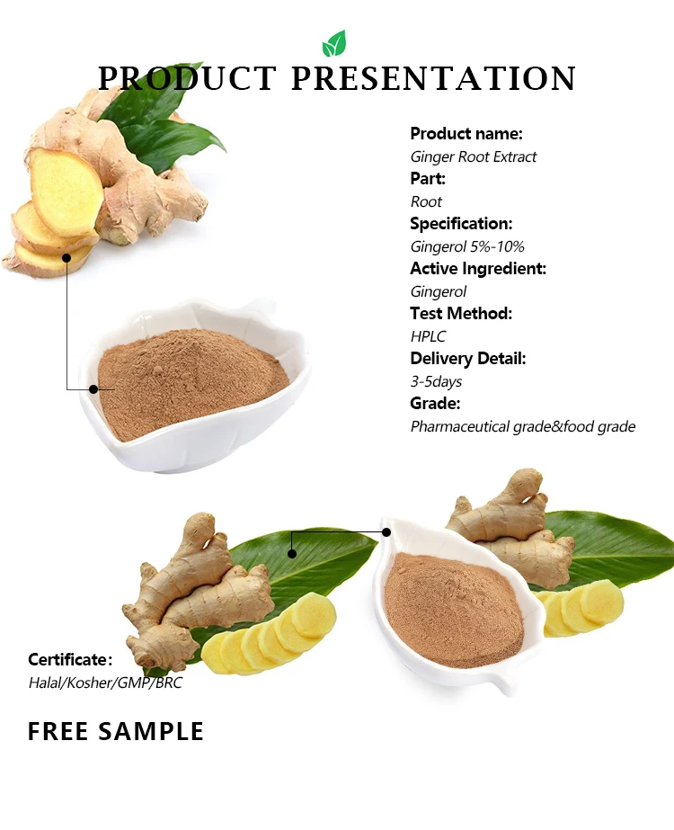 Customized Organic Turmeric Curcumin Zingiber Officinale Root Extract
