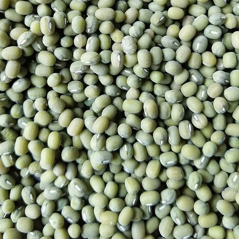 2020 High quality wholesale price green mung bean promotion supplier