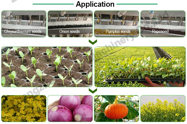 onion seeders transplanters paper pot seeder plates vegetable tray seeding machine
