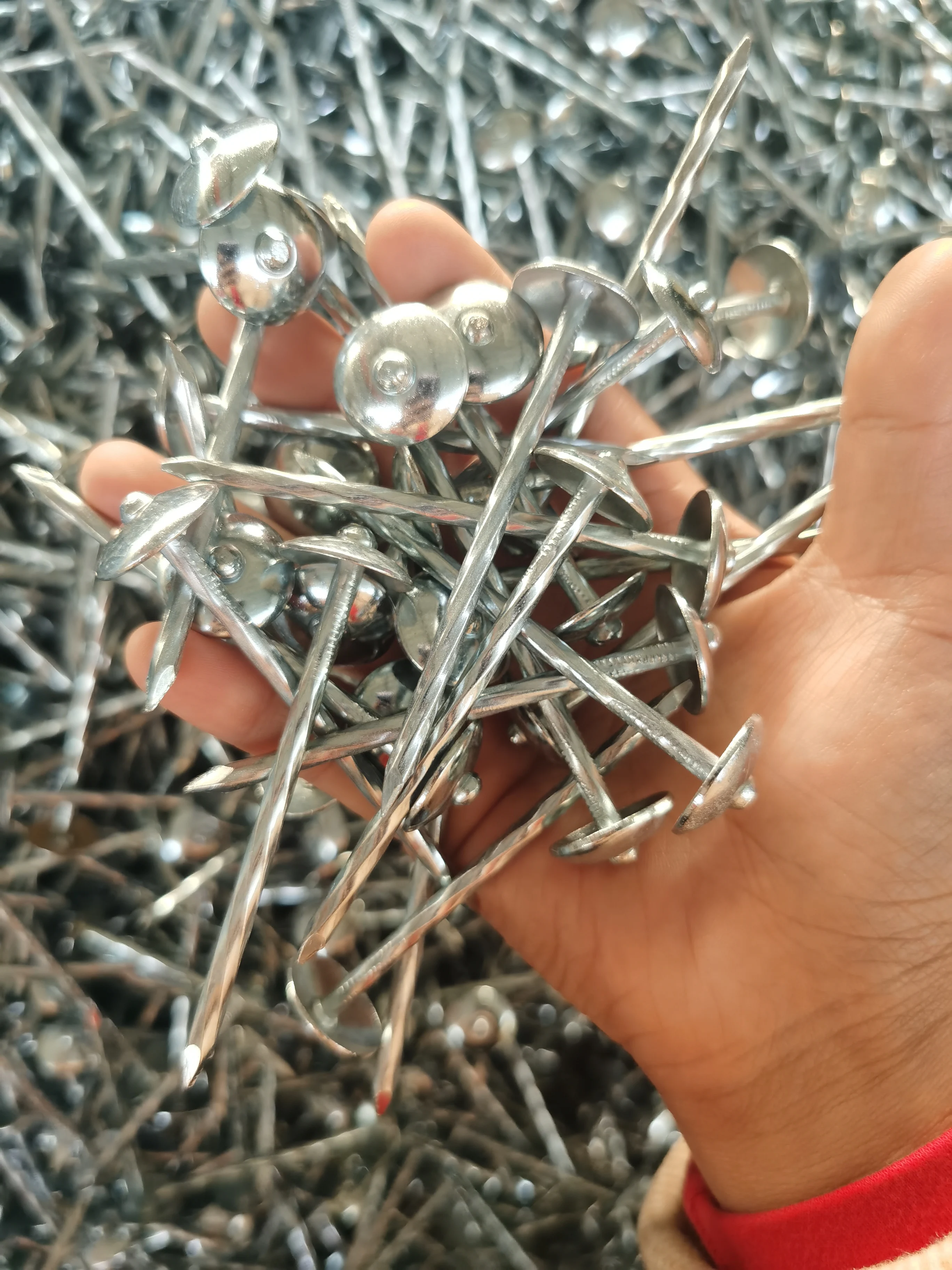 Clavos 9g 10g Smooth Umbrella Head Roofing Nails 1 1/4 Galvanized ...