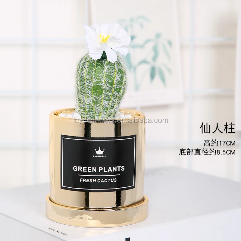 Wholesale Succulent Plant Korean Artificial Mini Cheap Flower Pots