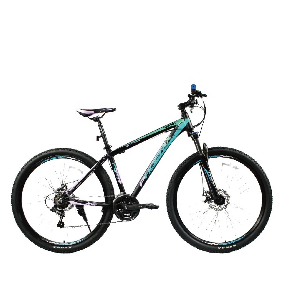 phoenix mountain bike