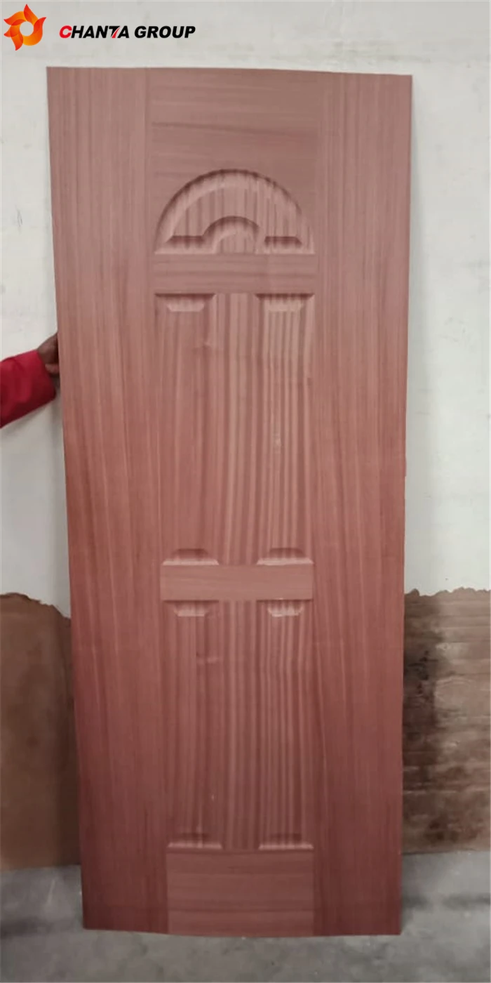 Door Skin10_