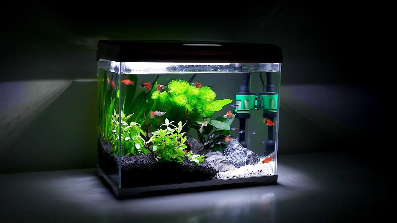20 Liter Fish Box Aquarium Transparent Glass Fish Tank Office Desktop Decoration Creative Buy