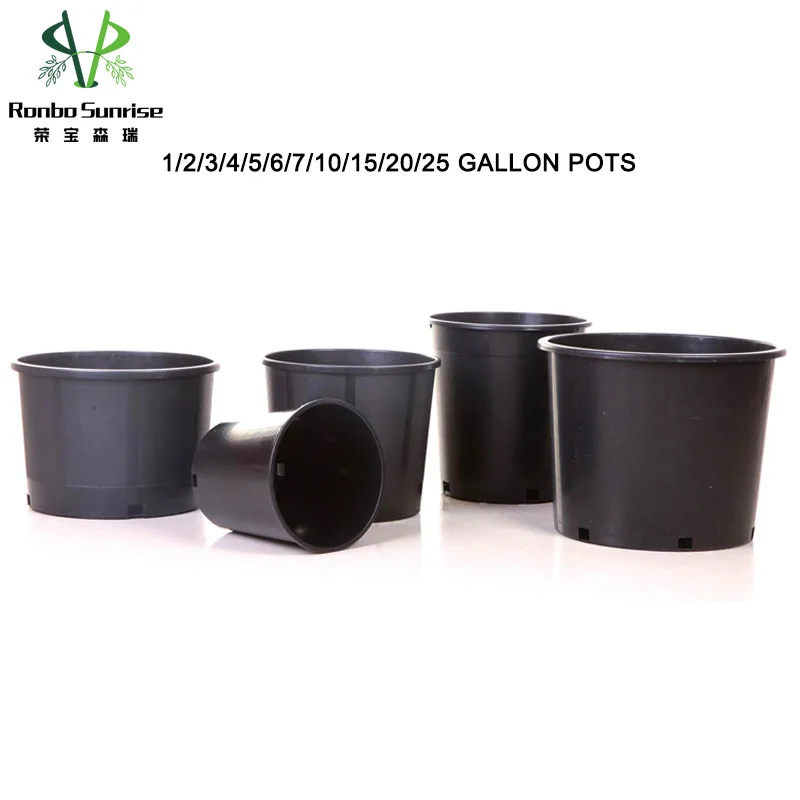 wall planter trellis Vego Modern Privacy Trellis