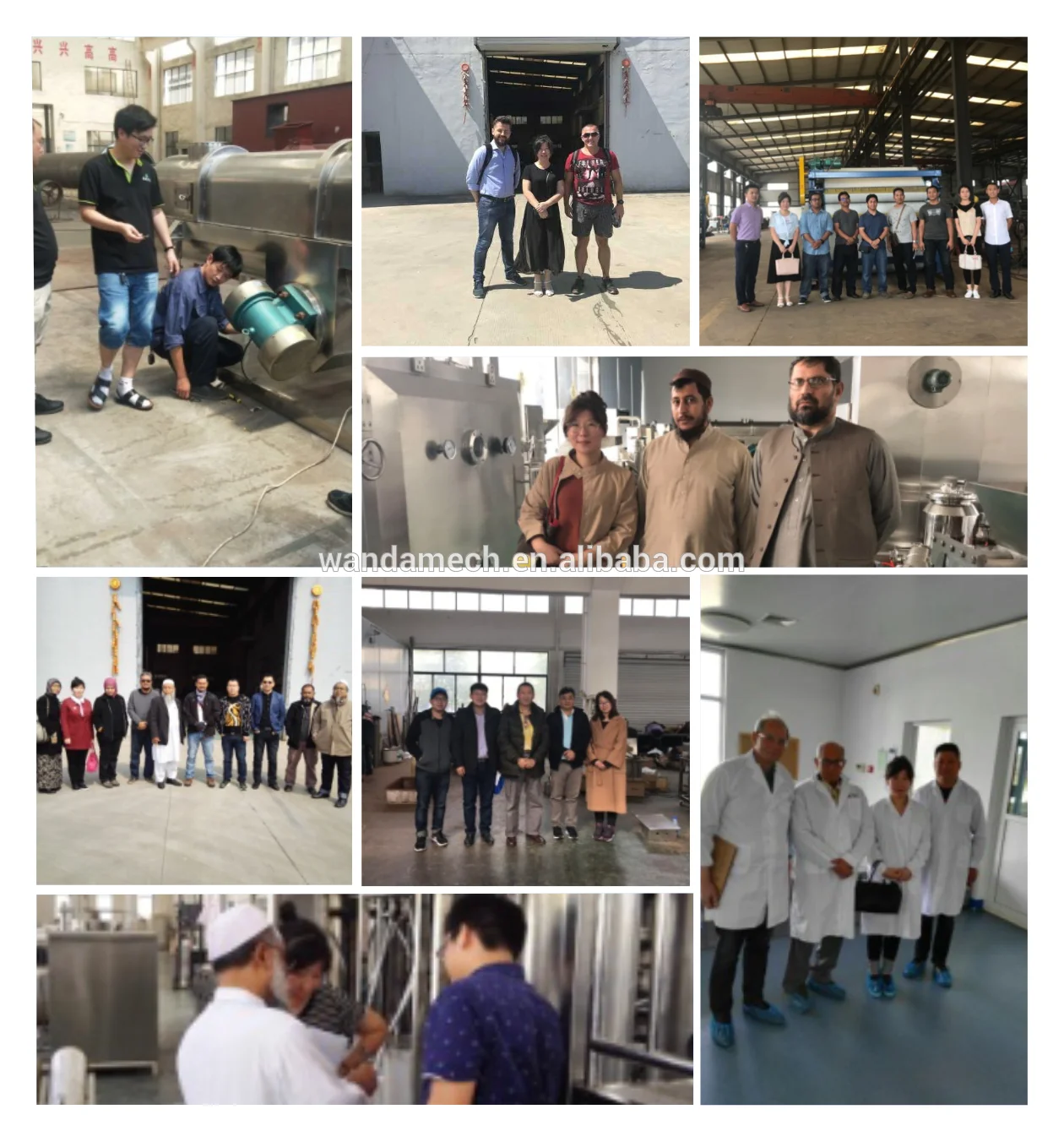 food belt dryer