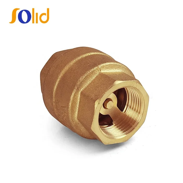 Non Return Brass Vertical Spring Check Valve