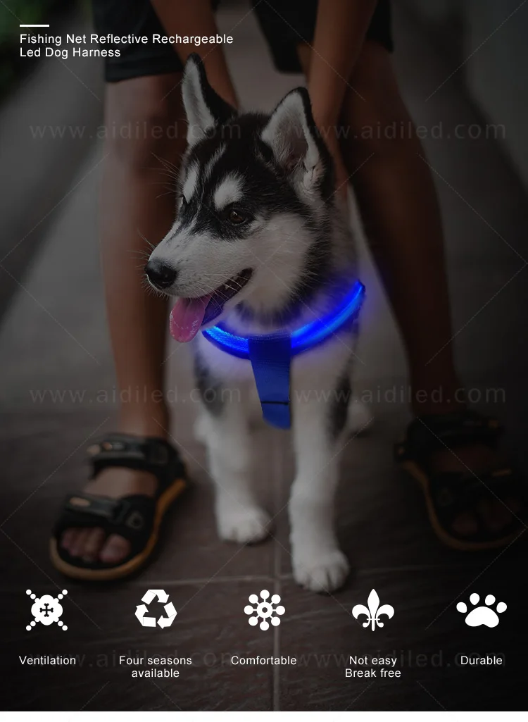 product-AIDI-2020 LED dog harness factory flashing light Personalized logo-img