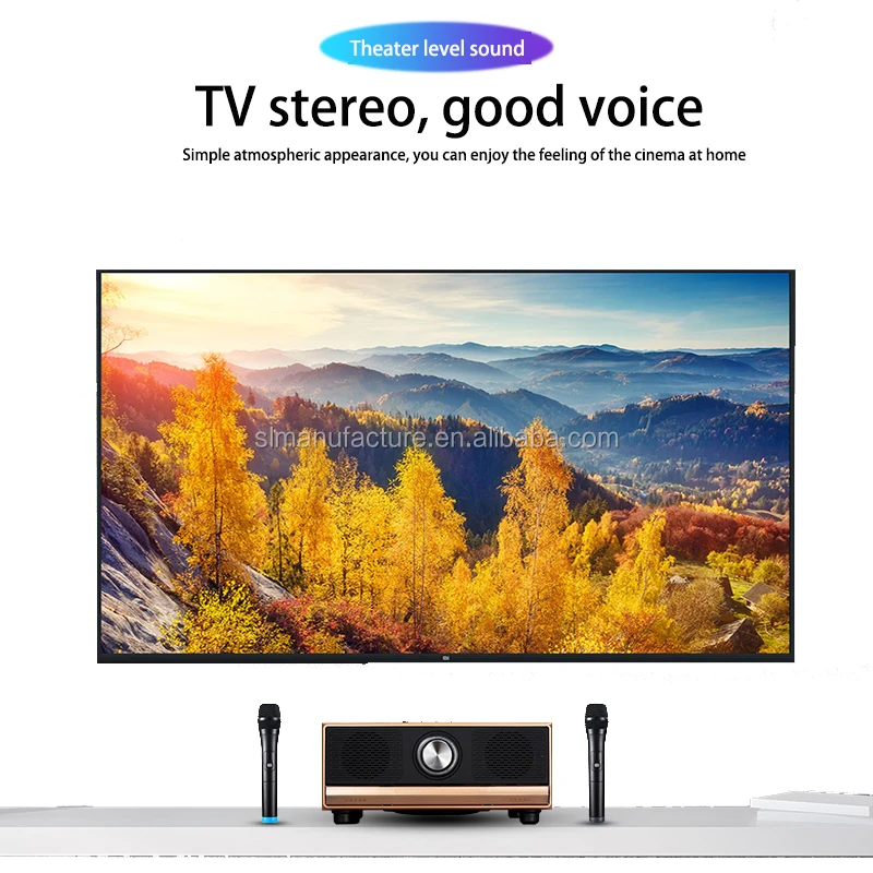 2000mah High Capacity Family TV Stereo Home Karaoke Blue tooth BT Wooden Speaker with MIC Microphone - ANKUX.COM
