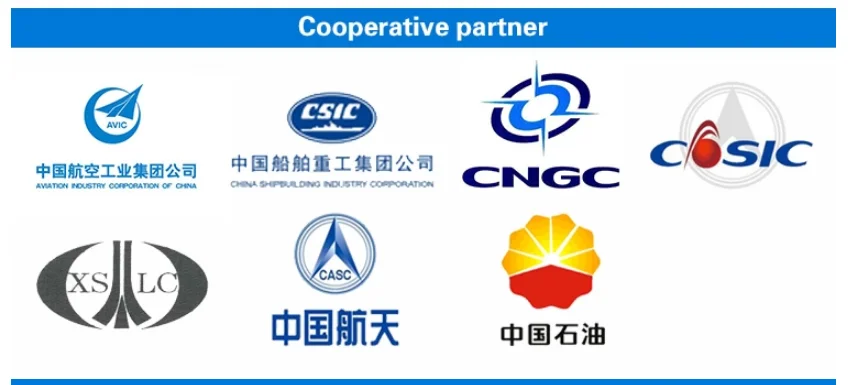 cooperative partner.png