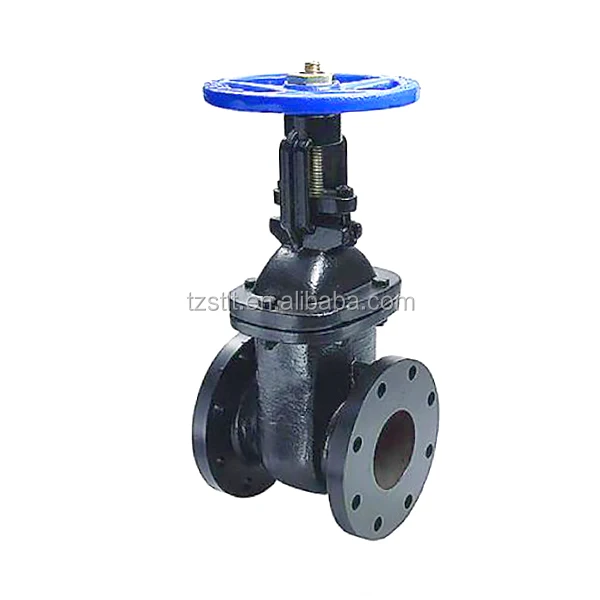 IZ-004 non-rising.jpg