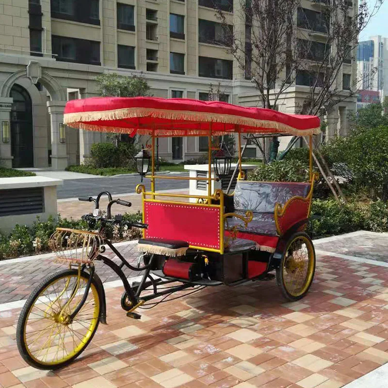 China Direct Manufacturer Pedal Assist Electric Rickshaw - Buy Electric Rickshaw,Three Wheel 