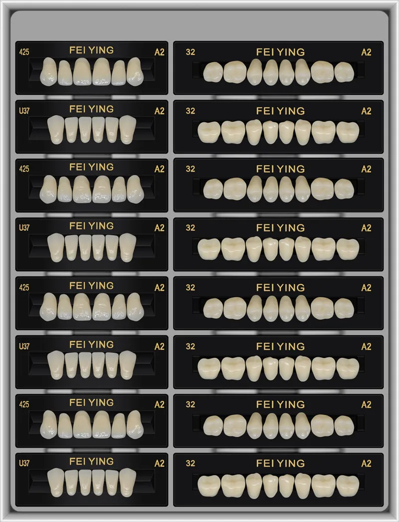 Factory Synthetic Resin Teeth Acrylic Denture Teeth Manufacturers Buy